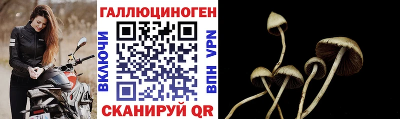 Псилоцибиновые грибы GOLDEN TEACHER  omg онион  Камызяк 
